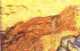 im_8.jpg (1116 bytes)
